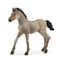 Schleich | Criollo Definitivo Foal