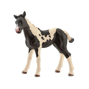 Schleich | Pinto Foal 13803