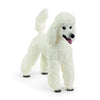 Schleich | Poodle