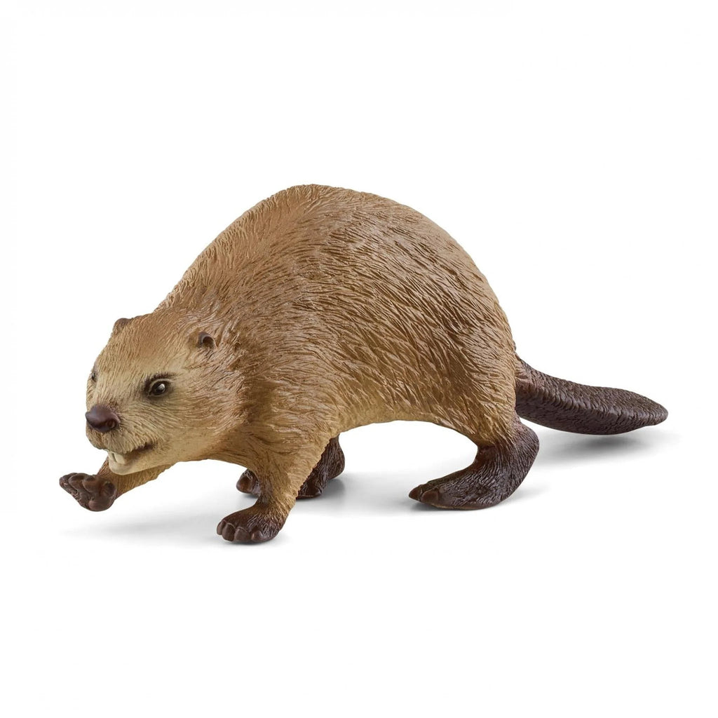 Schleich | Beaver 14855