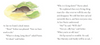 All the Dear Little Animals (Hardback) by Gecko Press
