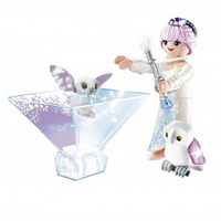 Playmobil 9351 Ice Flower Princess