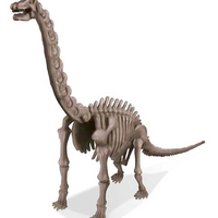 4M Dig A Dinosaur Skeleton - Brachiosaurus