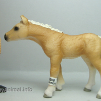 Schleich | Haflinger Foal Standing Horse