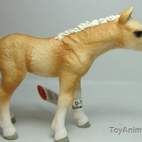 Schleich | Haflinger Foal Standing Horse