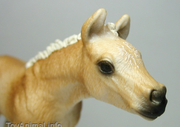 Schleich | Haflinger Foal Standing Horse