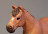 Schleich | Dartmoor Pony Mare