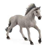 Schleich | Sorraia Mustang Stallion