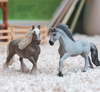 Schleich | Sorraia Mustang Stallion