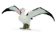 CollectA | Wandering Albatros 88765