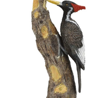CollectA - Ivory Billed Woodpecker 88802