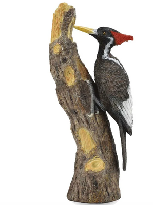 CollectA - Ivory Billed Woodpecker 88802