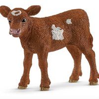 Schleich | Texas Longhorn Calf