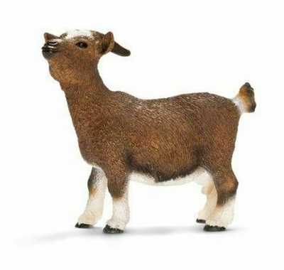 Schleich | Dwarf Goat