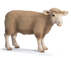 Schleich | Ram Sheep