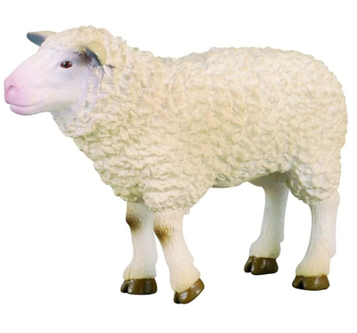 CollectA - Sheep 88008