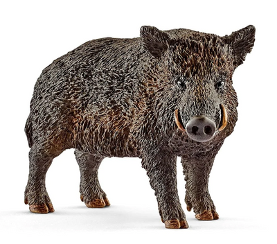 Schleich | Wild Boar