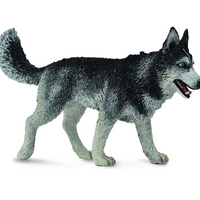 CollectA - Siberian Husky 88707