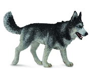 CollectA | Siberian Husky