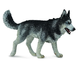 CollectA - Siberian Husky 88707