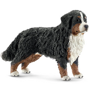 Schleich | Bernese Mountain Dog Female