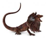 CollectA | Frill Neck Lizard