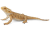 CollectA | Bearded Dragon Lizard 88567