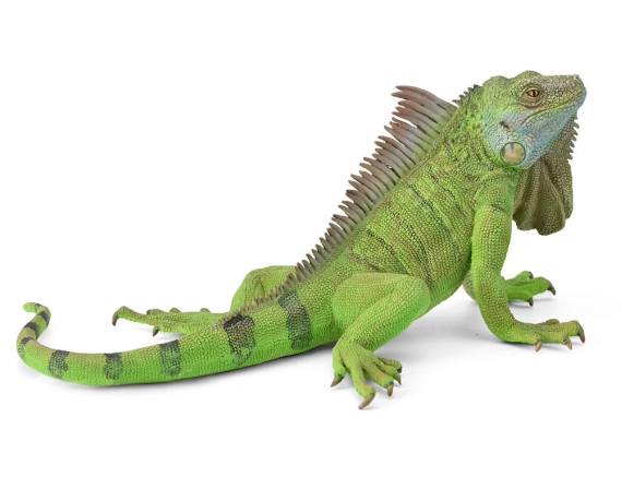 CollectA | Iguana 88965