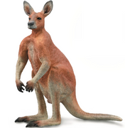 CollectA - Red Kangaroo Male 88942
