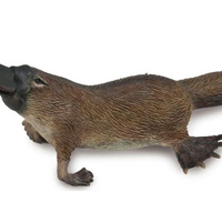 CollectA- platypus