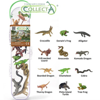 CollectA | Box of 10 Mini Reptiles & Amphibians