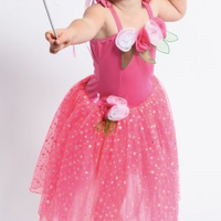 Fairy Girls | Sugarplum Ballerina Pink