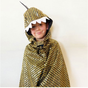 Fairy Girls | Golden Dragon Cape