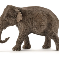 Schleich | Asian Elephant Female