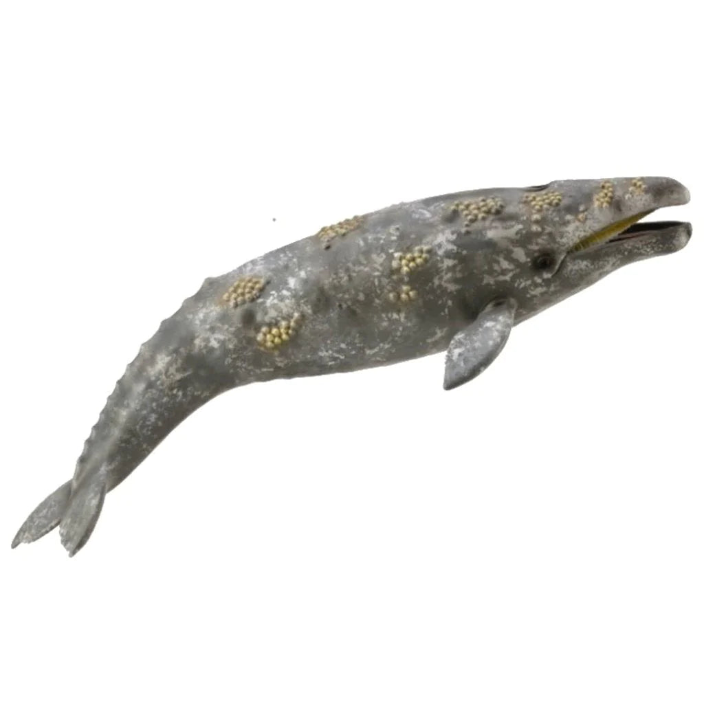 CollectA | Grey Whale 88836