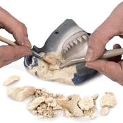 National Geographic - Shark Tooth Mini Dig Kit