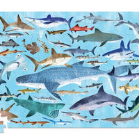 Crocodile Creek Puzzle - Thirty-Six Sharks 100pc